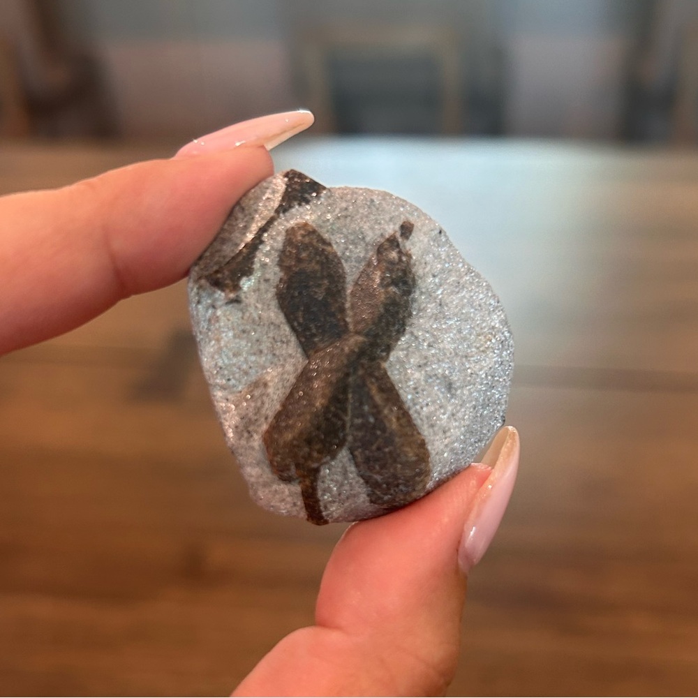 Fairy Stone aka Staurolite